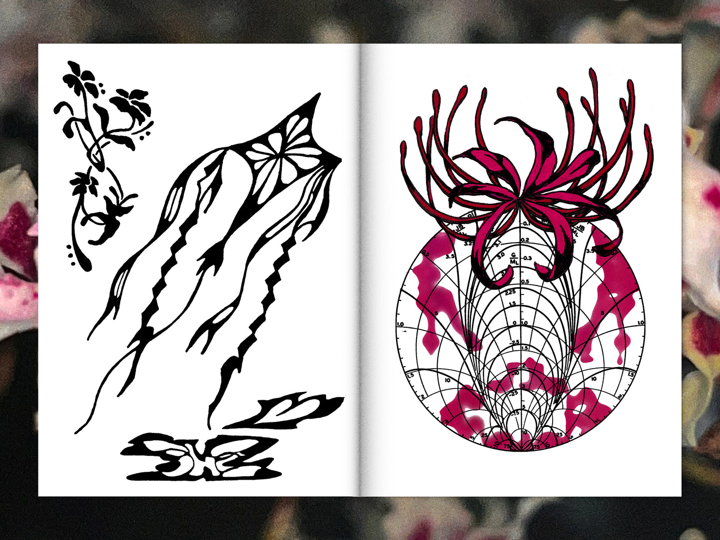 Distressed Lamb Zine